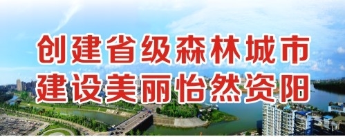 动漫阴茎在阴道内抽动视频创建省级森林城市 建设美丽怡然资阳