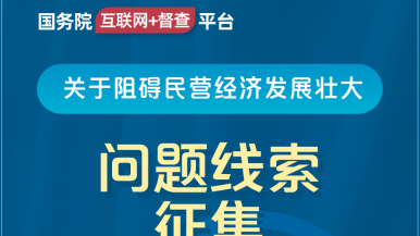 鸡插逼逼的视频国务院“互联网+督查”平台公开征集阻碍民营经济发展壮大问题线索